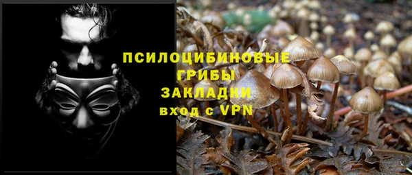 гидропоника Абаза