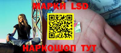 гашик Новодвинск
