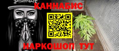 гашик Новодвинск