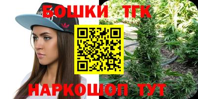 гашик Новодвинск