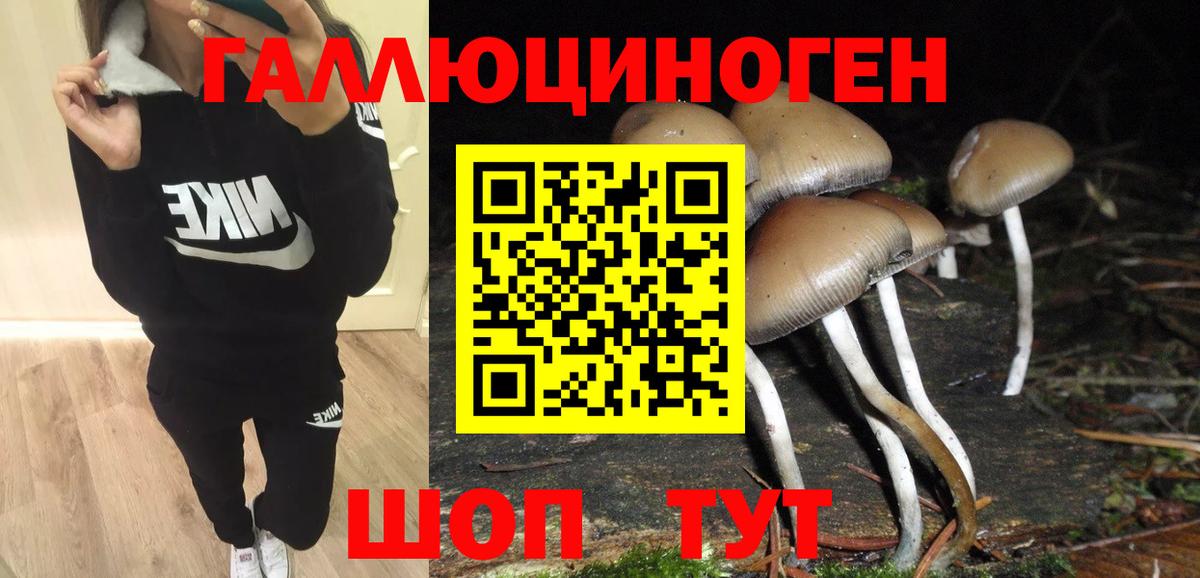 Псилоцибиновые грибы прущие грибы  Вход с VPN  Оренбург 