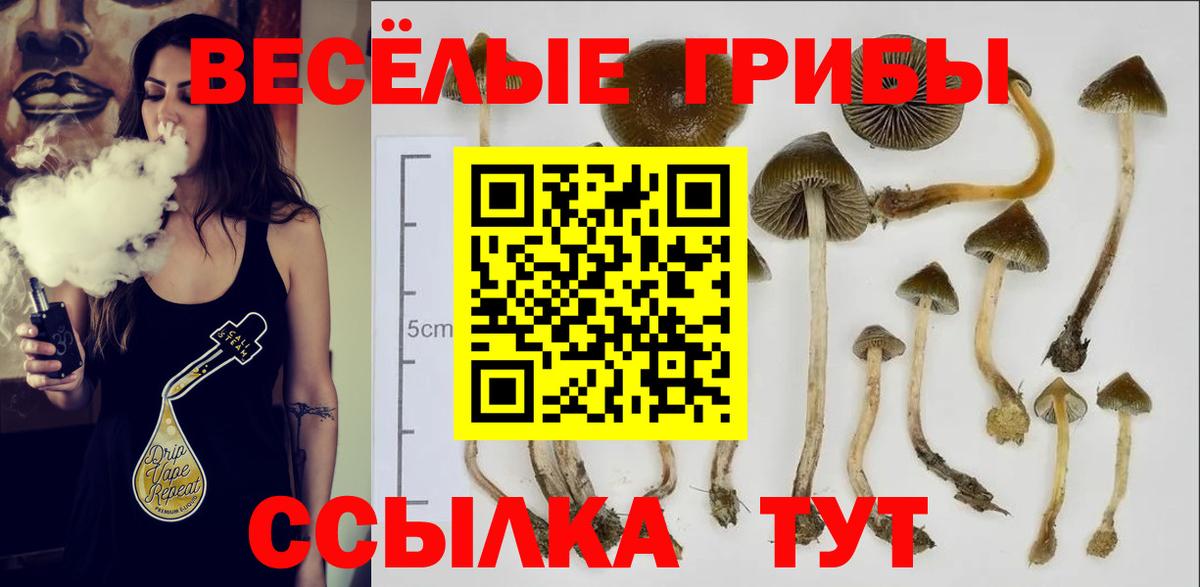 Псилоцибиновые грибы прущие грибы  Вход с VPN  Оренбург 