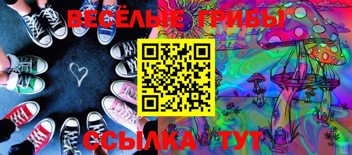 Псилоцибиновые грибы Cubensis Оренбург